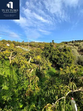 Terreno en Urbanización Santa Rosa