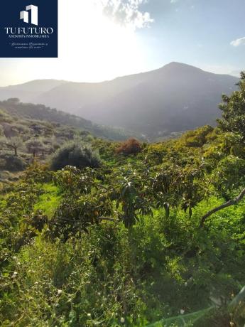 Terreno en Urbanización Santa Rosa