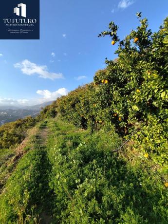 Terreno en Urbanización Santa Rosa