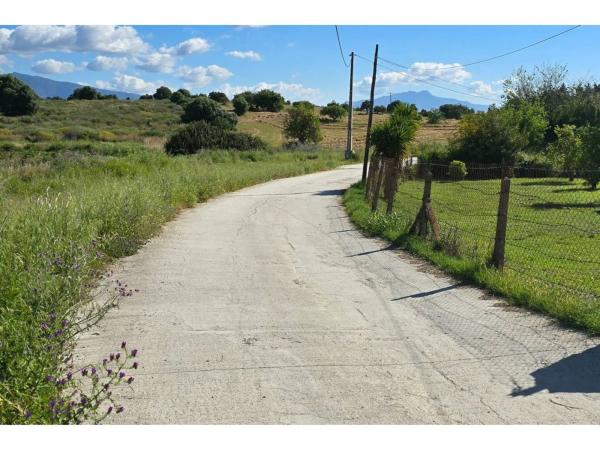 Terreno en camino Reinoso