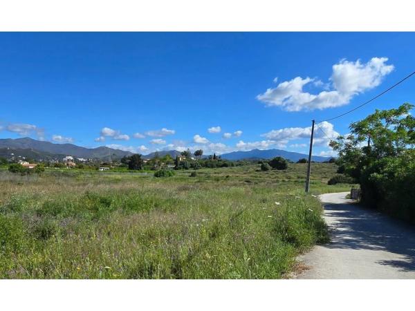 Terreno en camino Reinoso