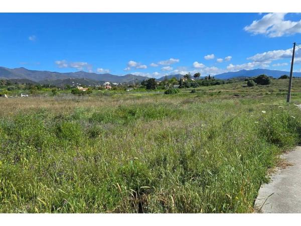 Terreno en camino Reinoso