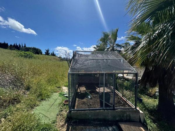 Terreno en Diseminado Pantoja, 104