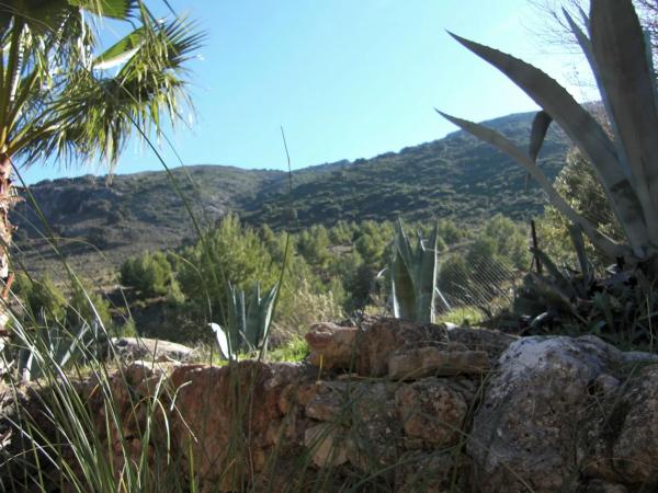 Terreno en Partidas sur