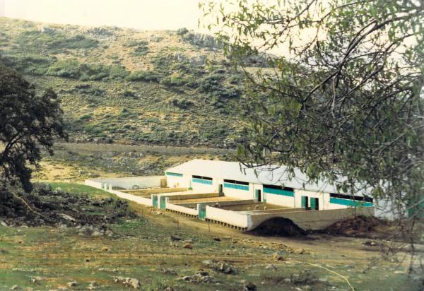 Terreno en Partidas sur