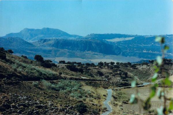 Terreno en Partidas sur