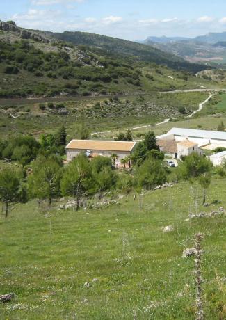 Terreno en Partidas sur