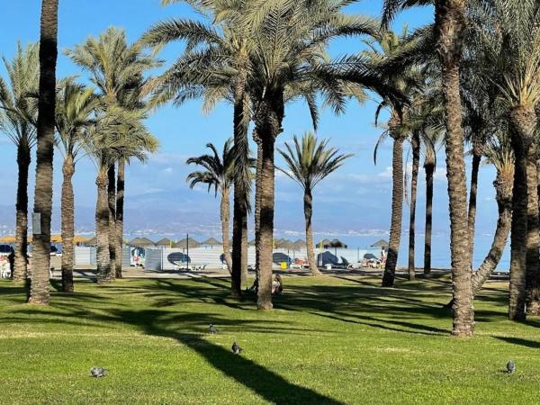 Terreno en avenida Carlota Alessandri