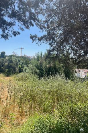 Terreno en Barrio Marbesa