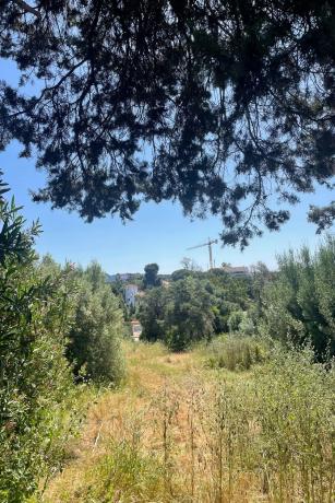 Terreno en Barrio Marbesa