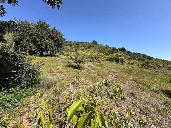 Terreno en Solana s/n