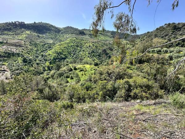 Terreno en Solana s/n