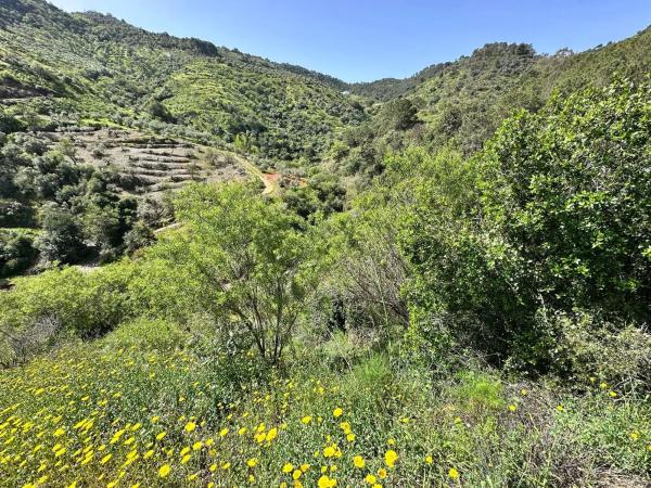 Terreno en Solana s/n