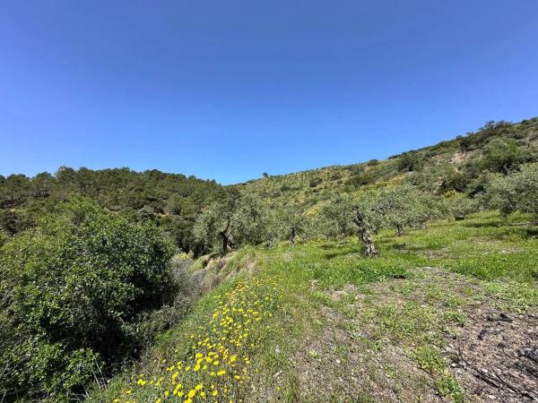 Terreno en Solana s/n