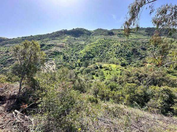 Terreno en Solana s/n