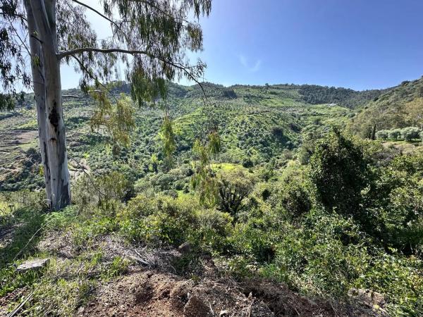 Terreno en Solana s/n