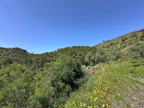 Terreno en Solana s/n