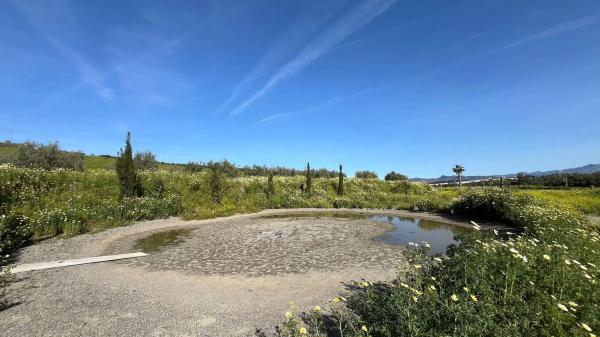 Terreno en Zalea s/n