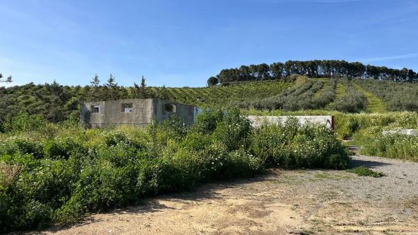 Terreno en Zalea s/n