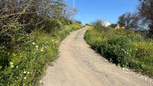 Terreno en Zalea s/n