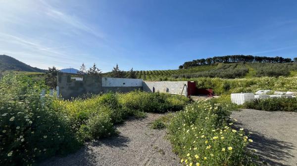 Terreno en Zalea s/n