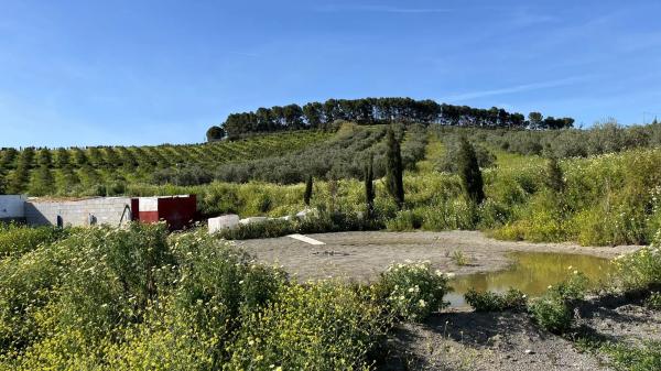 Terreno en Zalea s/n