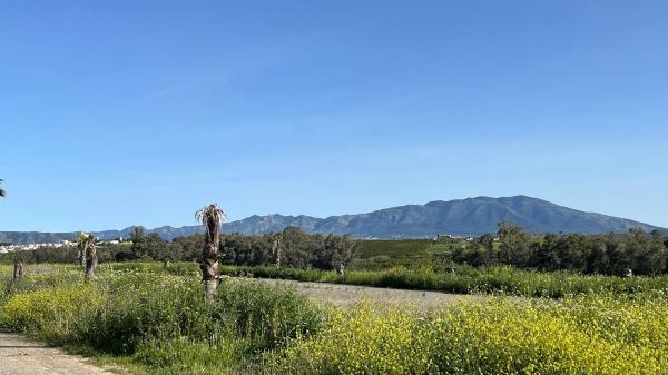 Terreno en Zalea s/n