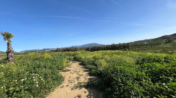 Terreno en Zalea s/n