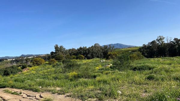 Terreno en Zalea s/n