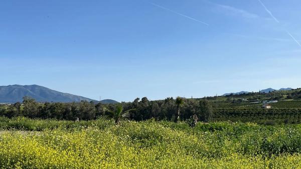 Terreno en Zalea s/n