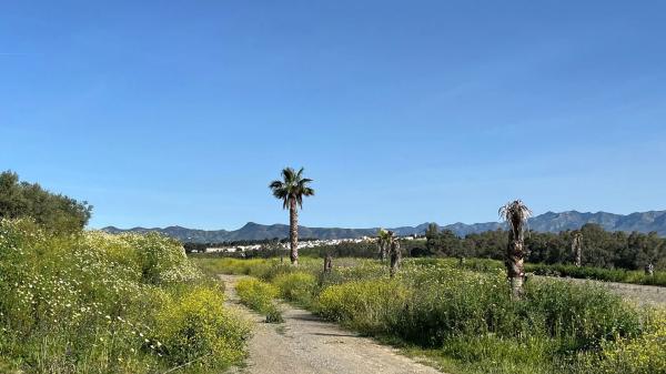 Terreno en Zalea s/n