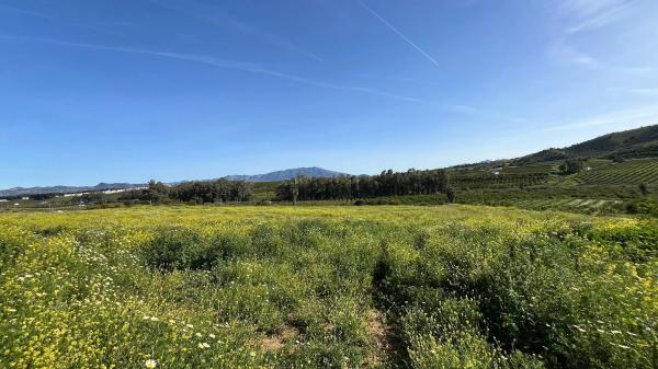 Terreno en Zalea s/n