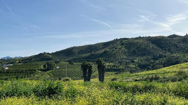 Terreno en Zalea s/n