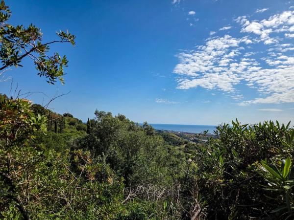 Terreno en Barrio Alto de los Monteros