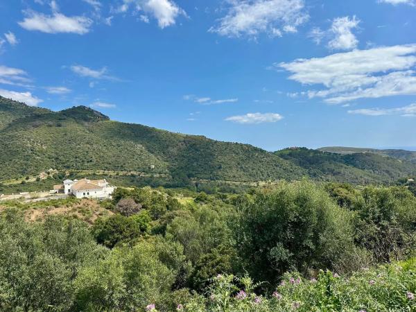Terreno en alto Urbanizacion Montemayor