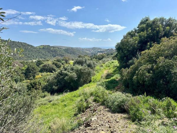 Terreno en alto Urbanizacion Montemayor