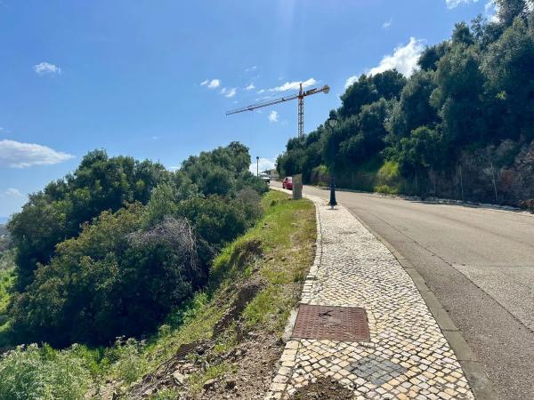 Terreno en alto Urbanizacion Montemayor