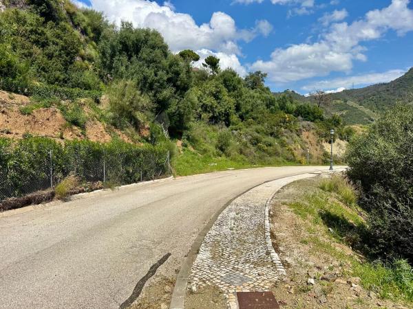 Terreno en alto Urbanizacion Montemayor