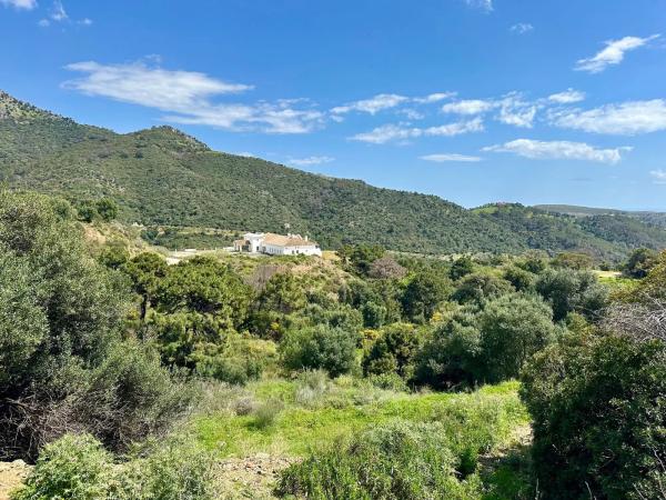 Terreno en alto Urbanizacion Montemayor