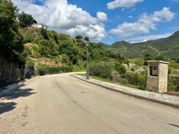 Terreno en alto Urbanizacion Montemayor
