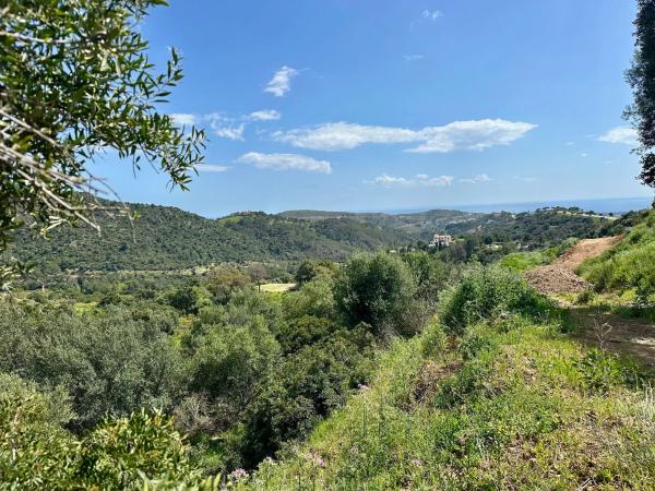 Terreno en alto Urbanizacion Montemayor
