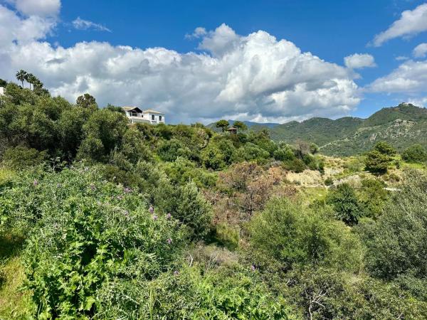 Terreno en alto Urbanizacion Montemayor