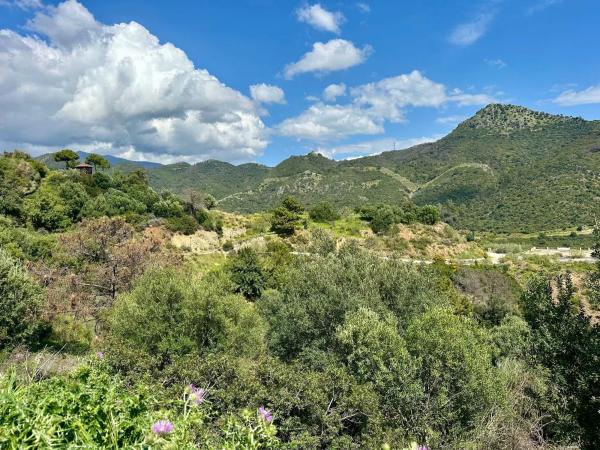 Terreno en alto Urbanizacion Montemayor