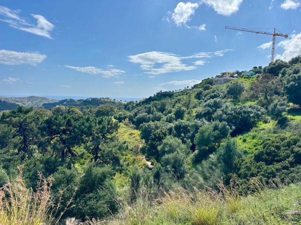 Terreno en alto Urbanizacion Montemayor