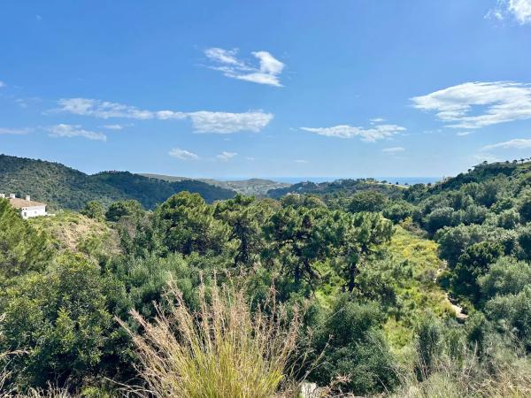 Terreno en alto Urbanizacion Montemayor