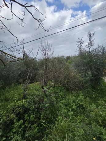 Terreno en Cártama pueblo