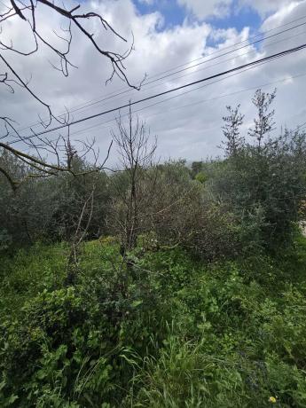 Terreno en Cártama pueblo