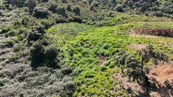 Terreno en calle Cataluña, 2