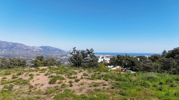 Terreno en calle Cataluña, 2
