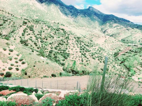 Terreno en Canillas de Aceituno